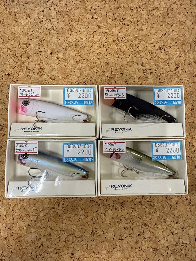 レヴォニック　モゴット入荷！